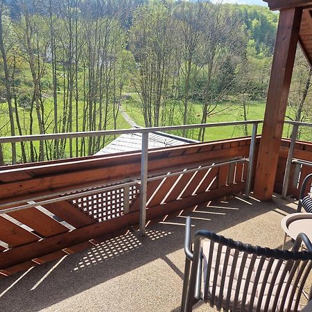 Haus Daut Fewo Mit Hallenbad Willingen  Exterior photo